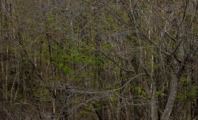 042725 1.4/30 E-M1X 4