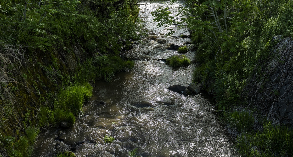 051725 2.8/45 fp 3