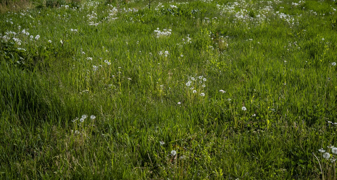 051725 2.8/45 fp 5