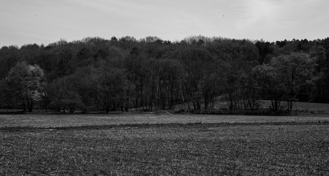 050525 1.5/25 L_M 2