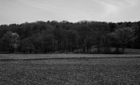 050525 1.5/25 L_M 2
