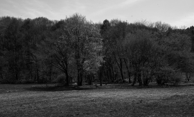 050525 1.5/25 L_M 3