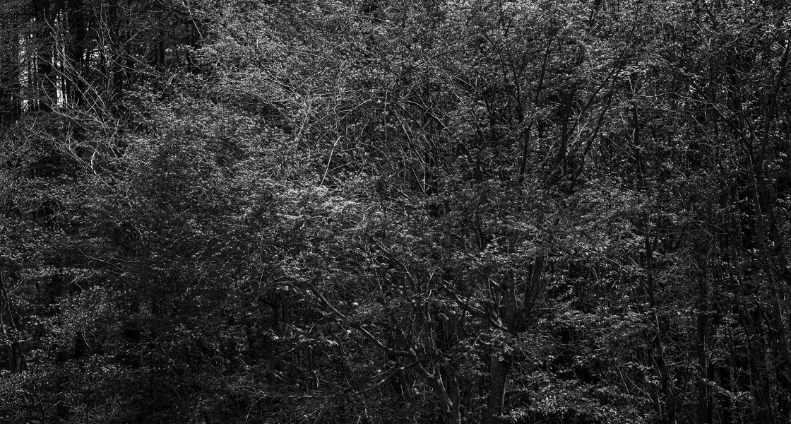 050525 1.5/25 L_M 4