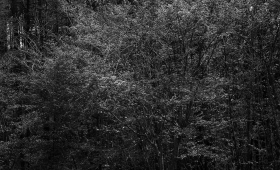 050525 1.5/25 L_M 4