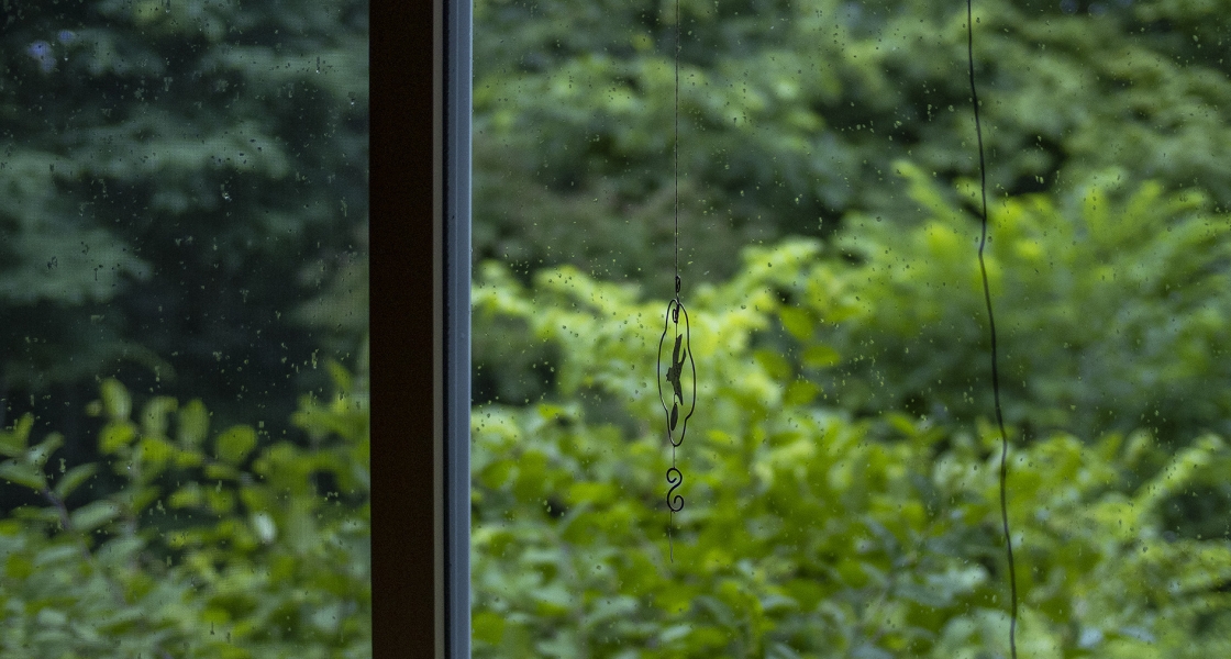 071525 0.95/50 E-M1X