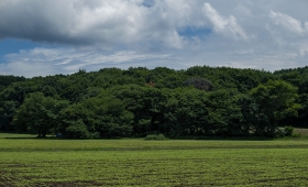 080925 1.2/55 D4 2