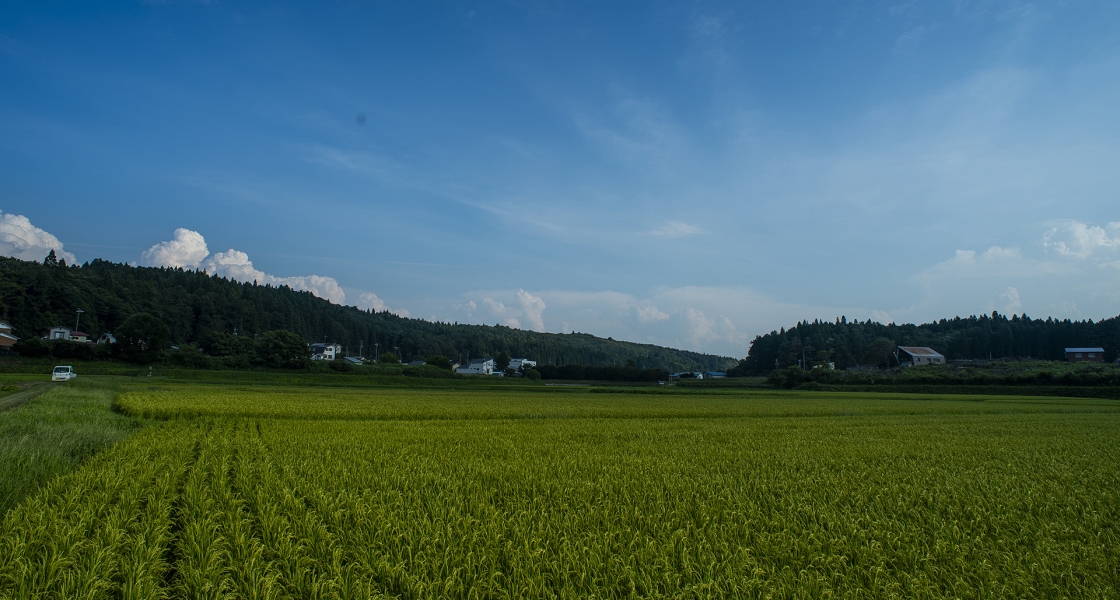 082025 2.8/20 D4 3
