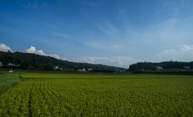 082025 2.8/20 D4 3