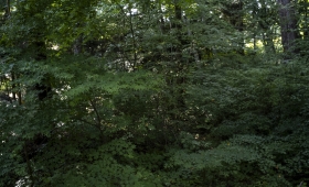 082525 1.4/35 fp 7