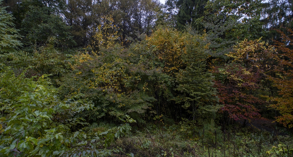 102625 2.8/20 fp