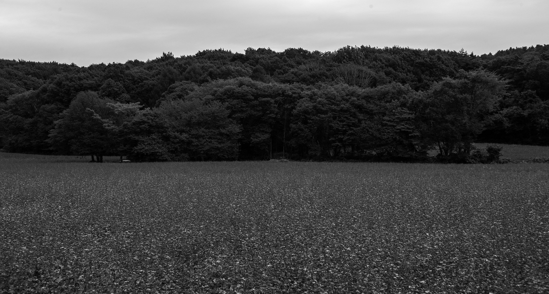 100425 1.5/50 L-M 2