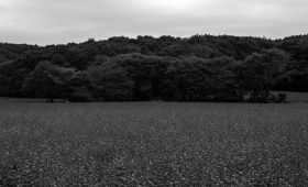 100425 1.5/50 L-M 2
